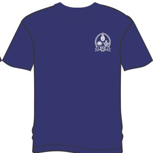 DCS blue DCS blue cotton T-shirt