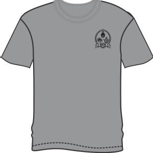 DCS grey DCS grey cotton T-shirt